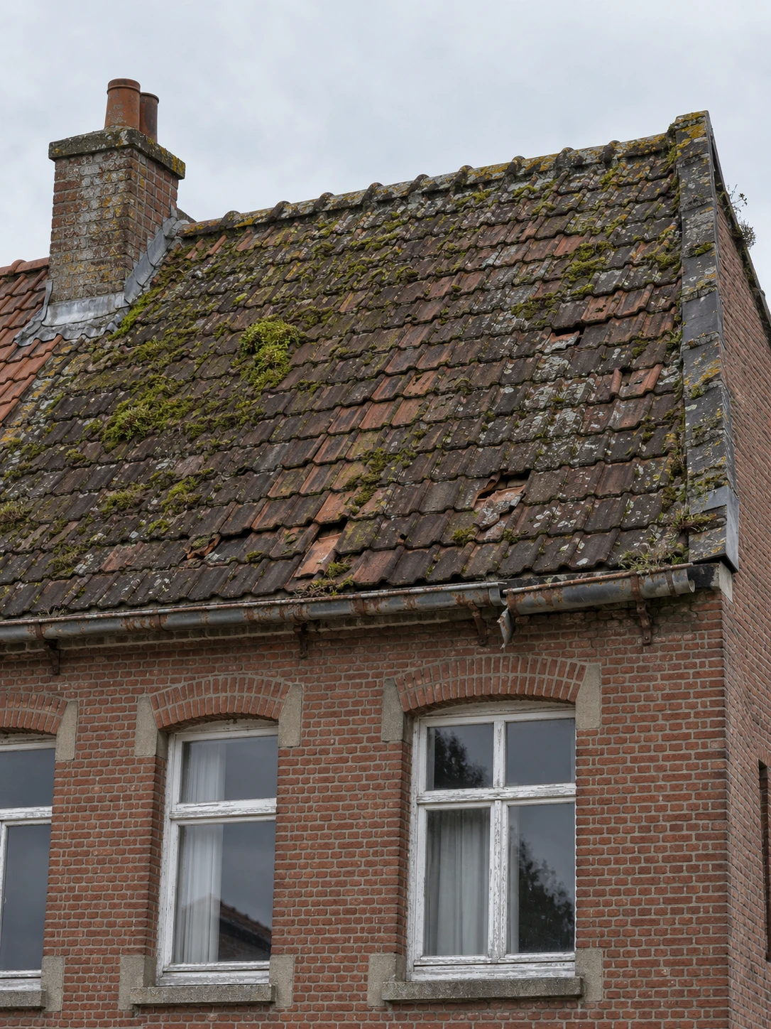 toiture en tuiles couverte de mousse avant rénovation